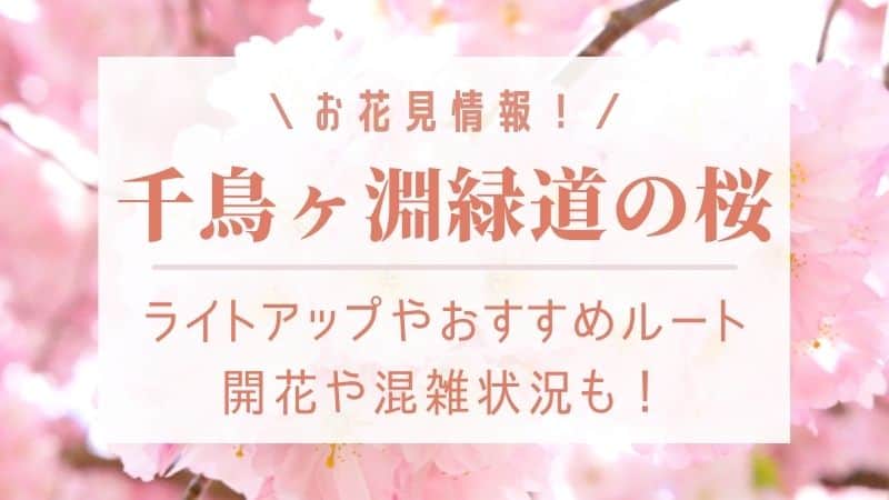 千鳥ヶ淵の桜22 ライトアップやおすすめルートは 開花状況や見頃