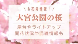 目黒川の桜23 ライトアップや屋台は出る 混雑状況や穴場 駐車場も