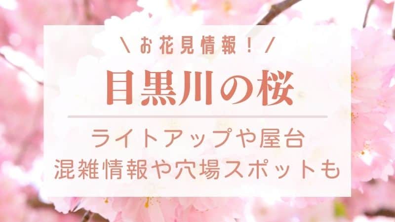 目黒川の桜22 ライトアップや屋台は出る 混雑状況や穴場 駐
