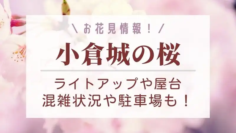 小倉城の桜まつり22 ライトアップや屋台 混雑状況や駐車場も