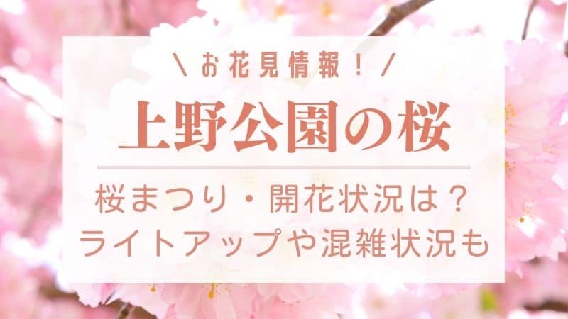 上野恩賜公園の桜22の開花状況は 桜まつりやライトアップ混雑情報も