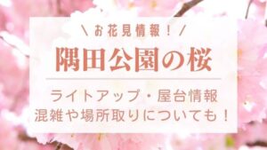 目黒川の桜23 ライトアップや屋台は出る 混雑状況や穴場 駐車場も