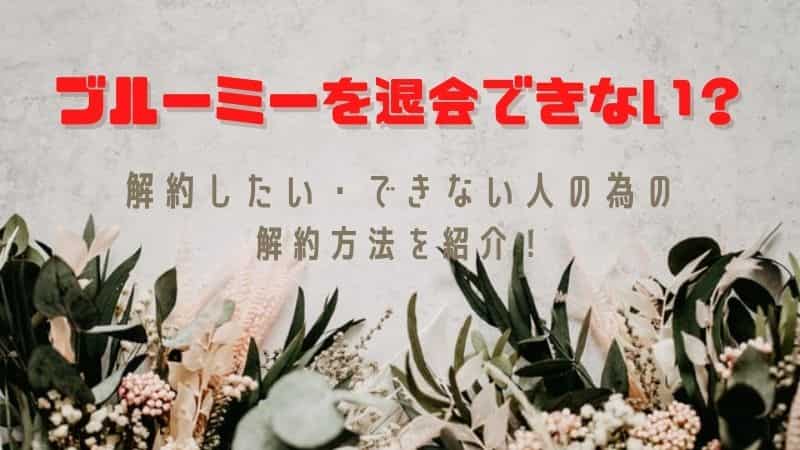 ブルーミーを退会できない 解約したい できない人の為の解約方法を紹介
