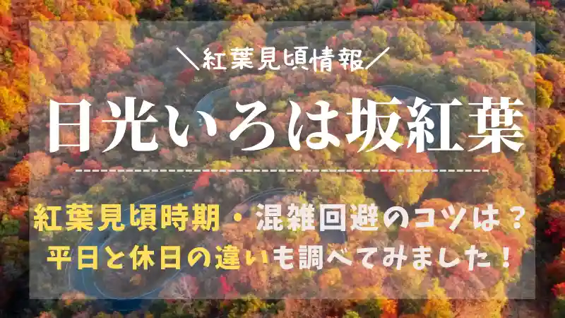 いろは坂の紅葉時期の渋滞を回避するコツは 平日との比較