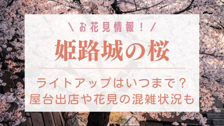 姫路城の桜ライトアップ2023はいつまで？屋台出店や花見の混雑状況も！
