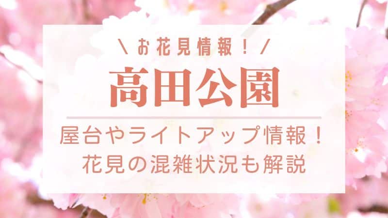 高田公園の桜2023の屋台やライトアップ情報！花見の混雑状況も解説