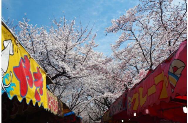 小田原城址公園の花見時期屋台のイメージ画像