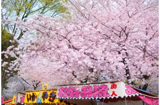 桜と屋台の画像