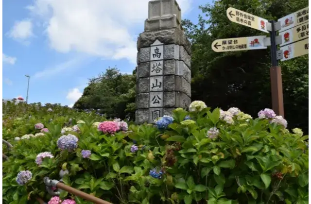高塔山公園と書かれた石像とあじさいの画像
