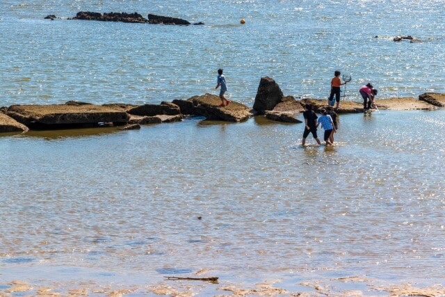 海の岩場に子供達が集まっている画像