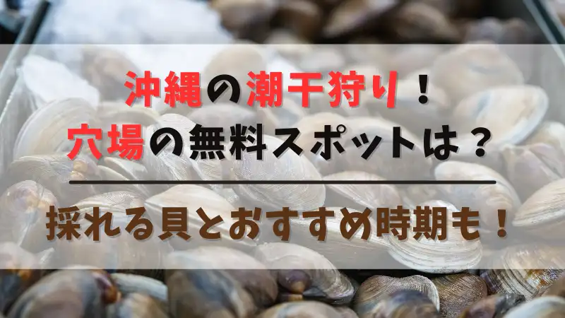 沖縄の潮干狩り穴場の無料スポットは？採れる貝の種類とおすすめ時期