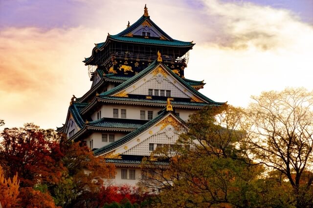 大阪城公園の紅葉の見頃時期