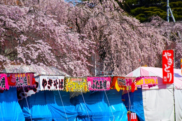 満開の桜と屋台の画像