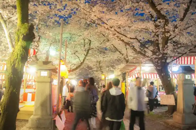 夜桜と屋台が並ぶ画像