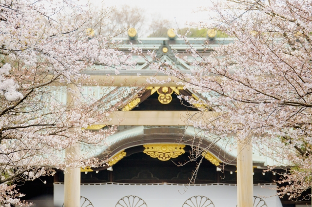 靖国神社境内に桜が舞ってる写真