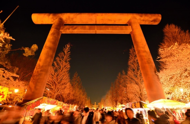 靖国神社桜のライトアップの写真