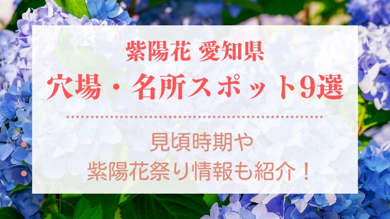 【紫陽花】愛知県の穴場・名所スポット9選！見頃時期や紫陽花祭り情報も紹介！